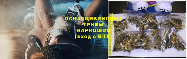 амф Заволжье