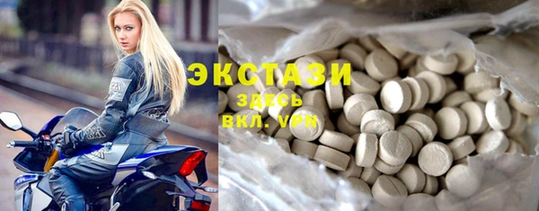 индика Елизово